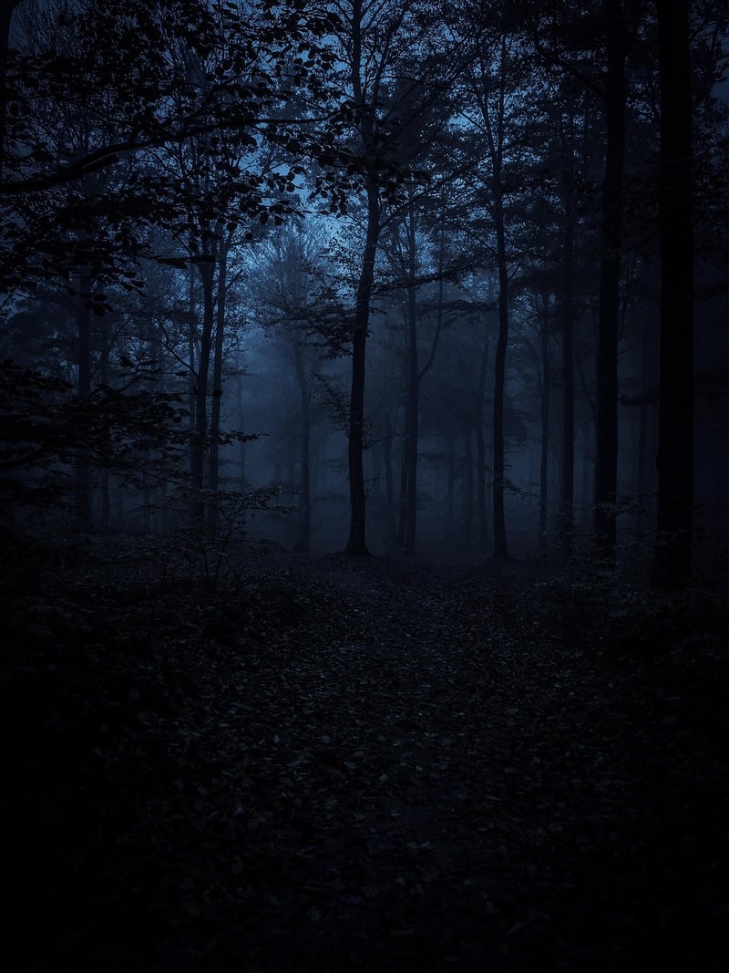 Journey to the Unknown